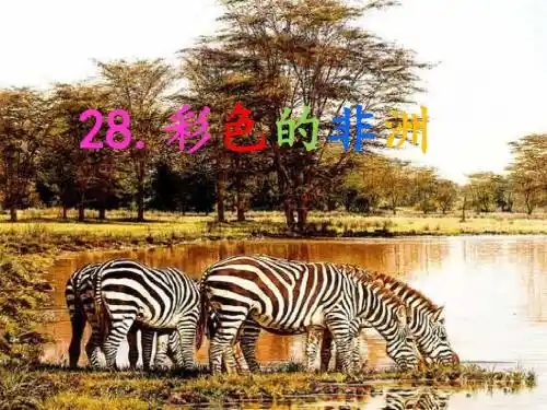 彩色的非洲ppt课件.ppt