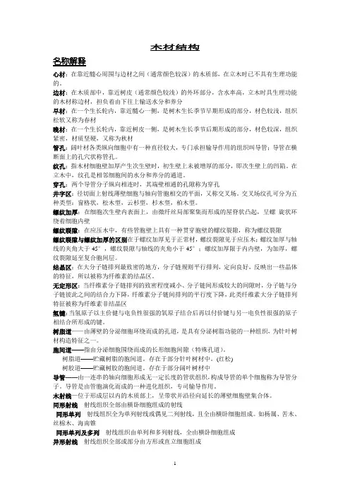 木材学
