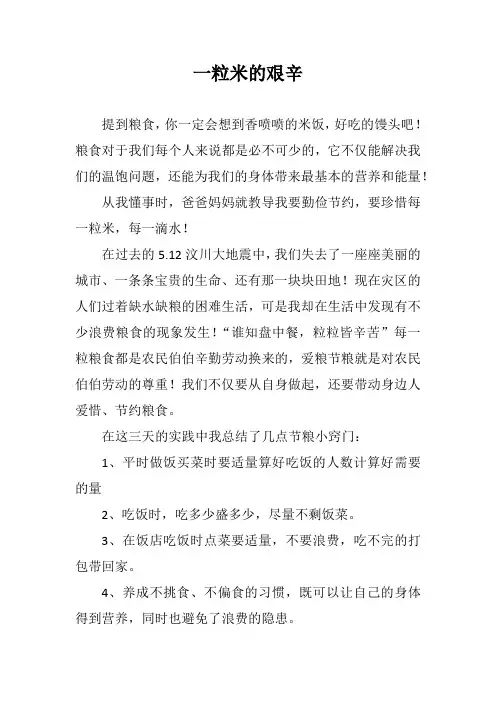 一粒米的艰辛作文