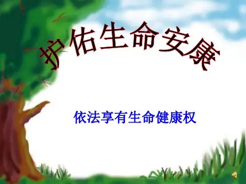 护佑生命安康ppt优秀课件