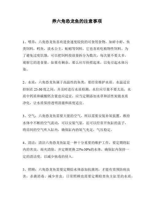 养六角恐龙鱼的注意事项