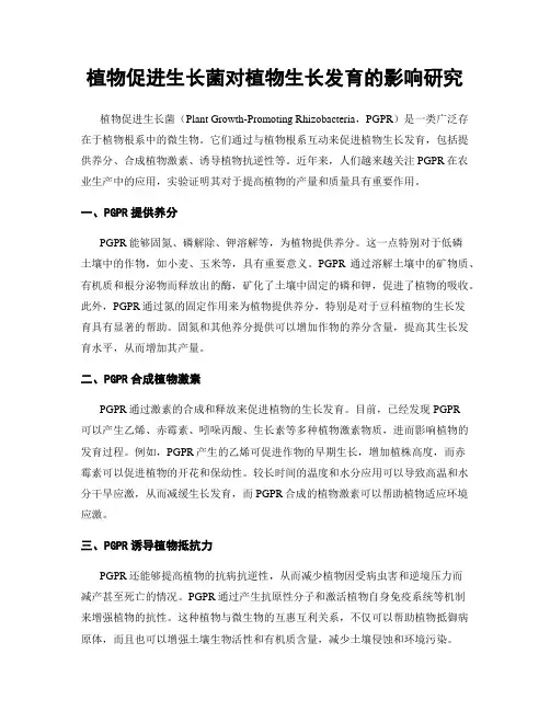 植物促进生长菌对植物生长发育的影响研究
