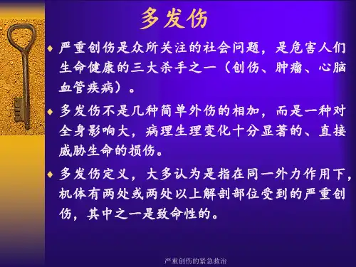 严重创伤的紧急救治 ppt课件