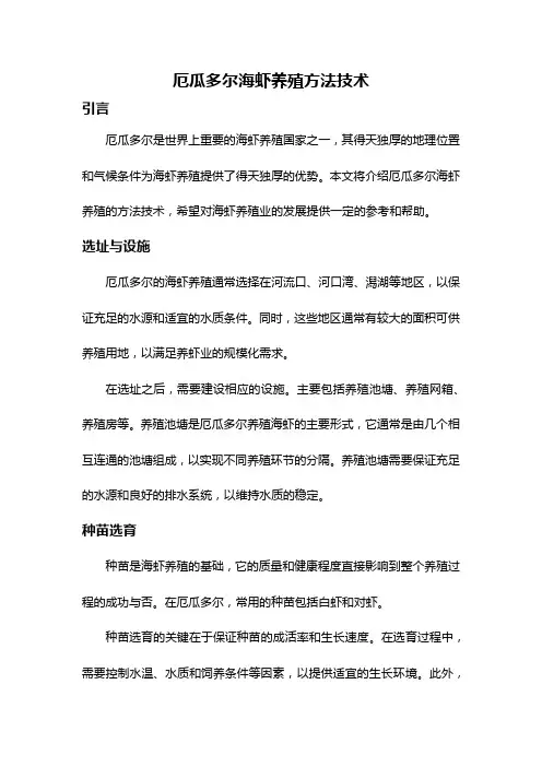 厄瓜多尔海虾养殖方法技术