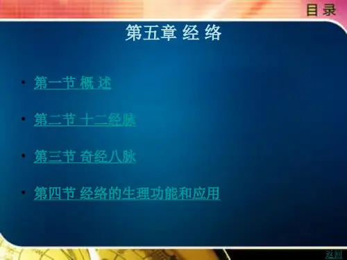 经络的生理功能