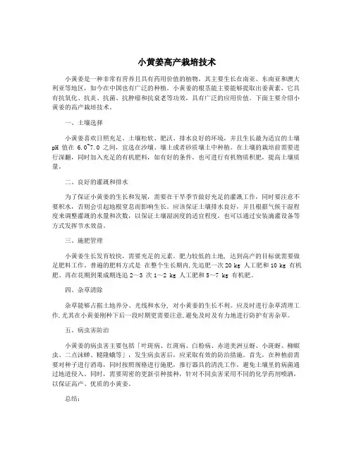 小黄姜高产栽培技术