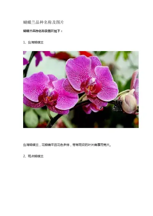 蝴蝶兰品种名称及图片