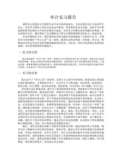 审计之星审计报告