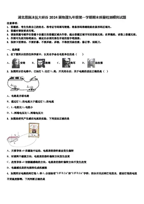 湖北恩施沐抚大峡谷2024届物理九年级第一学期期末质量检测模拟试题含解析