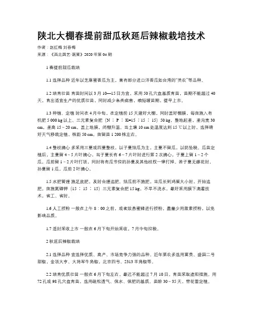陕北大棚春提前甜瓜秋延后辣椒栽培技术