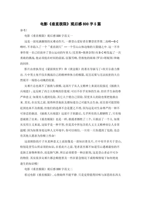 电影《垂直极限》观后感800字5篇
