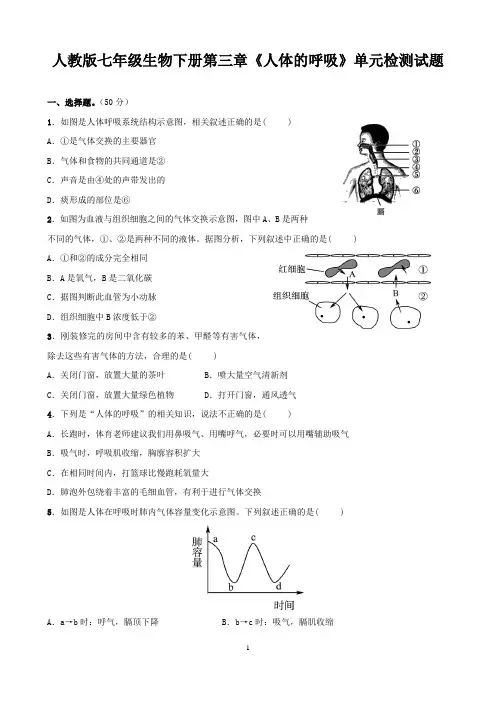 人教版七年级生物下册第三章《人体的呼吸》单元检测试题(含答案)