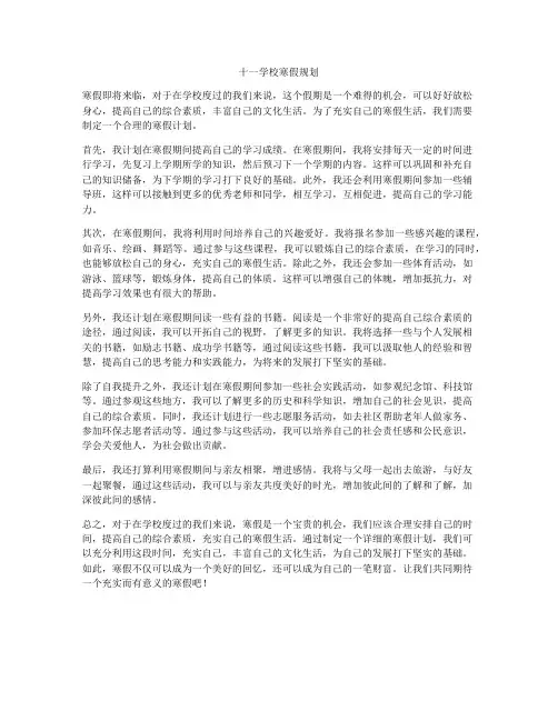 十一学校寒假规划