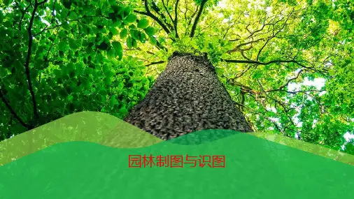 园林设计制图与识图