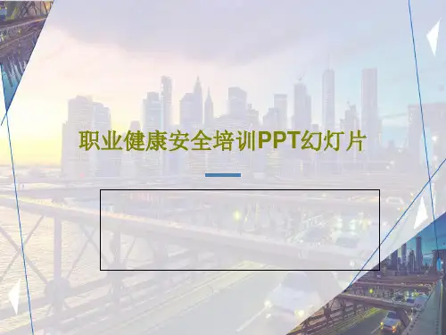 职业健康安全培训PPT幻灯片35页PPT