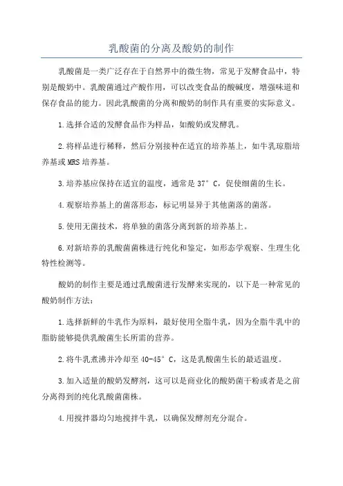 乳酸菌的分离及酸奶的制作