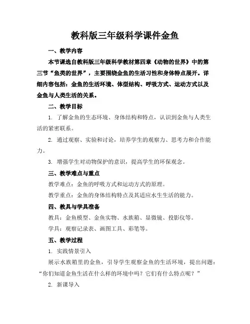 教科版三年级科学课件金鱼