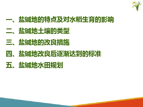 水稻生产新技术—盐碱地水稻生产技(北方水稻生产课件)
