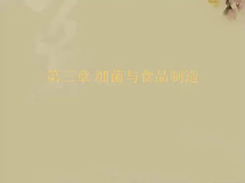 细菌与食品制造