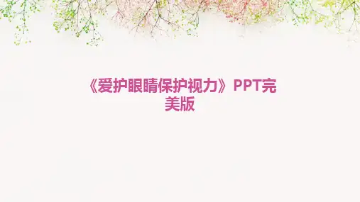 《爱护眼睛保护视力》PPT完美版