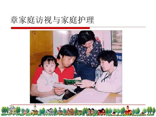 家庭访视及家庭护理(64页)