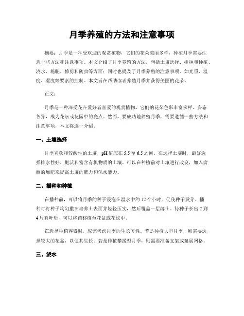 月季养殖的方法和注意事项