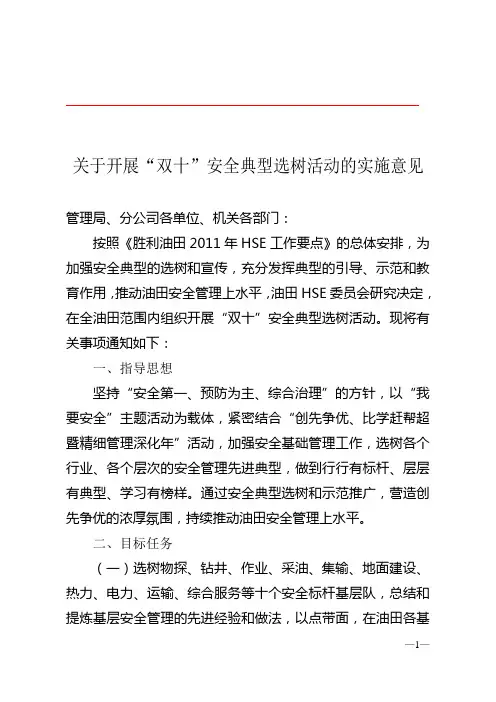 开展“双十”安全典型选树活动的实施意见