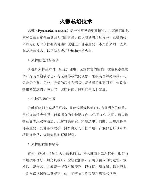 火棘栽培技术