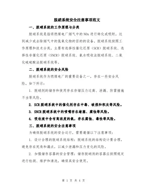 脱硝系统安全注意事项范文
