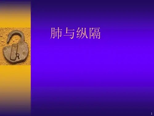 肺与纵隔ppt课件