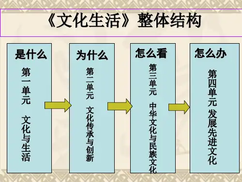 学年高二政治课件1.1.1体味文化3(新人教版必修3)
