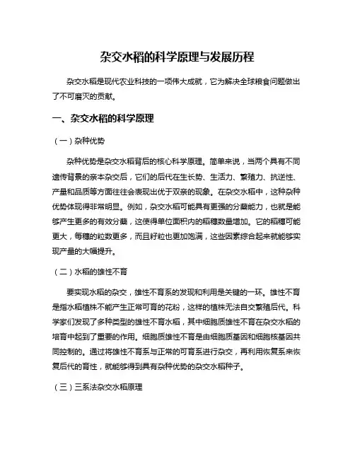 杂交水稻的科学原理与发展历程