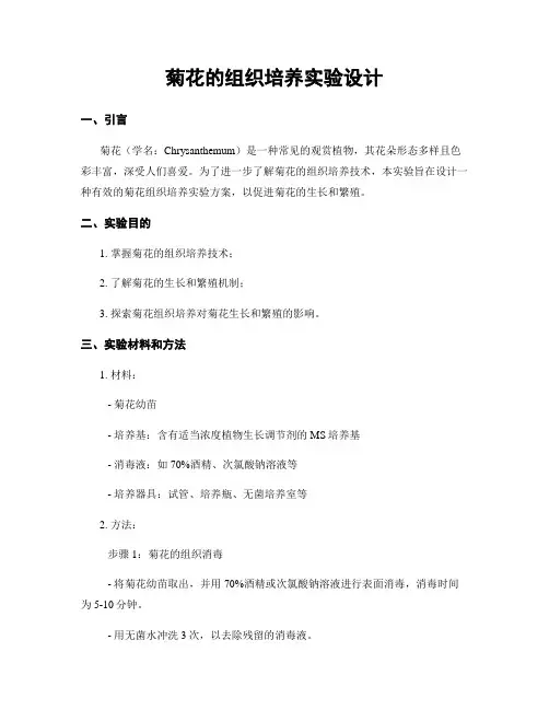 菊花的组织培养实验设计