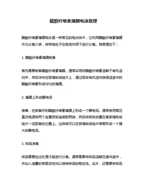 醋酸纤维素薄膜电泳原理