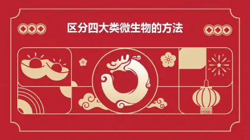 区分四大类微生物的方法