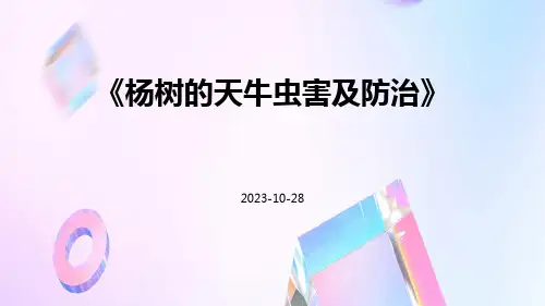 杨树的天牛虫害及防治