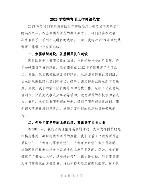 2023学校共青团工作总结范文