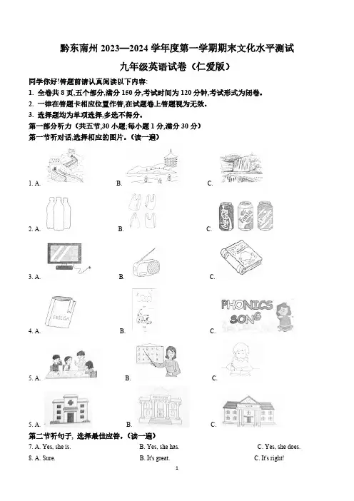 贵州省黔东南州2023-2024学年九年级上学期期末文化水平测试英语试题(含答案)