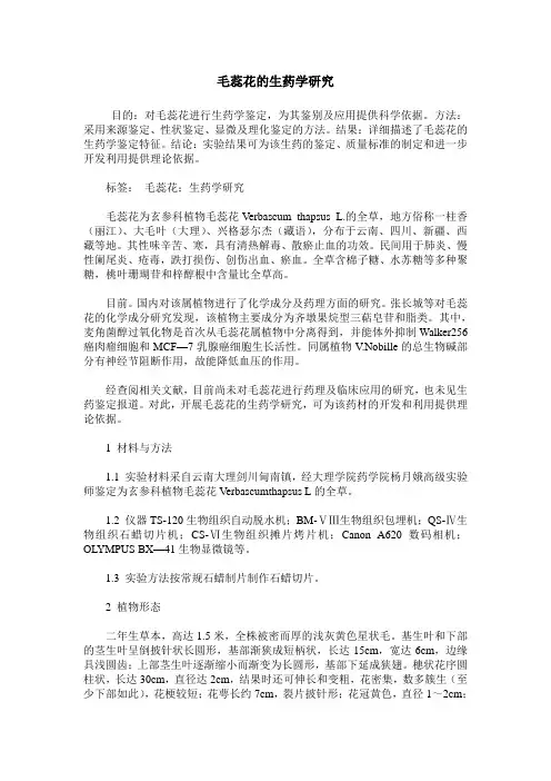 毛蕊花的生药学研究