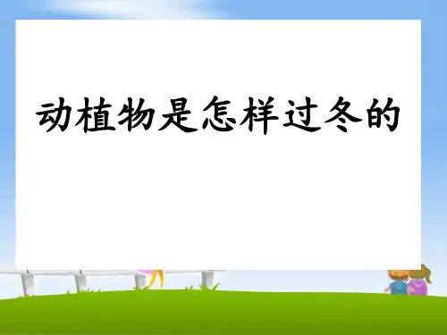 《动植物是怎样过冬的》四季中的变化PPT课件2