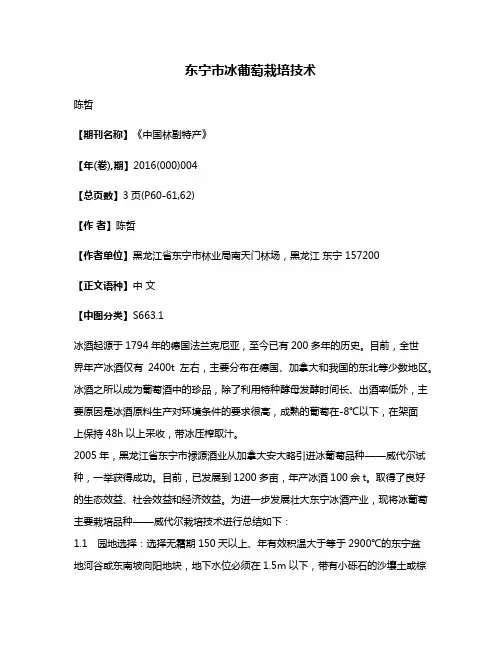 东宁市冰葡萄栽培技术