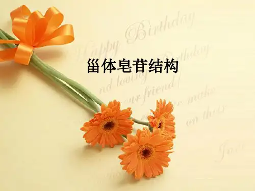 甾体皂苷结构.