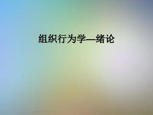 组织行为学—绪论
