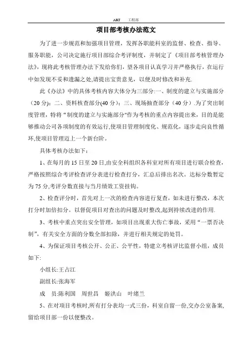 项目考核办法范文