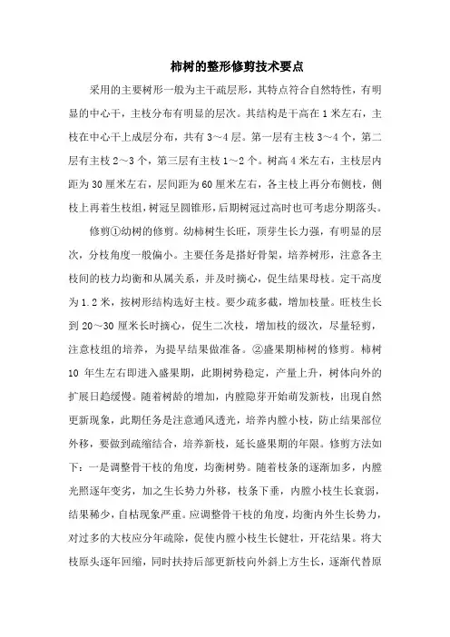 柿树的整形修剪技术要点