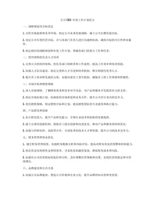 公司CEO年度工作计划范文