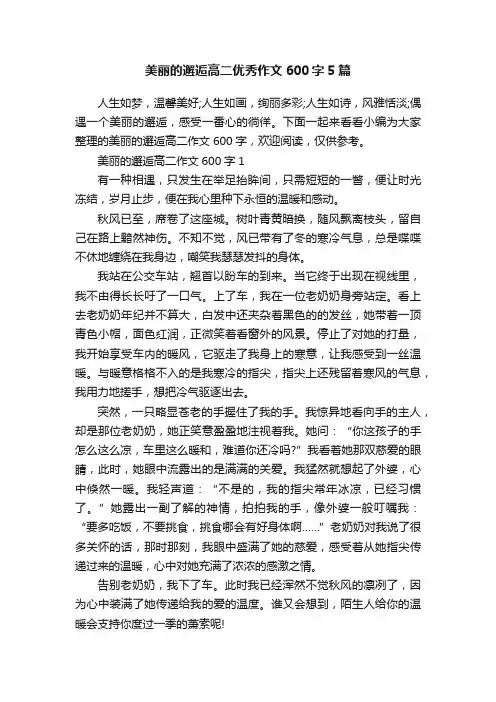 美丽的邂逅高二优秀作文600字5篇