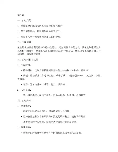 侧芽组培实验报告(3篇)