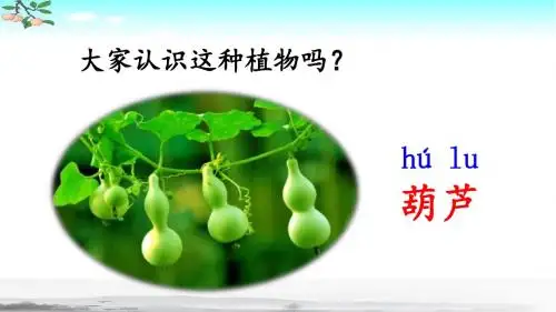 部编人教版二年级语文上册课文14《我要的是葫芦》优秀PPT课件