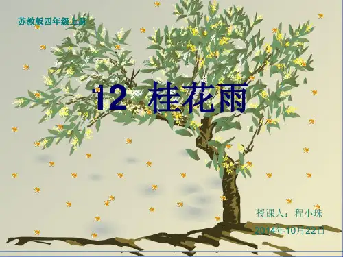 公开课桂花雨PPT课件